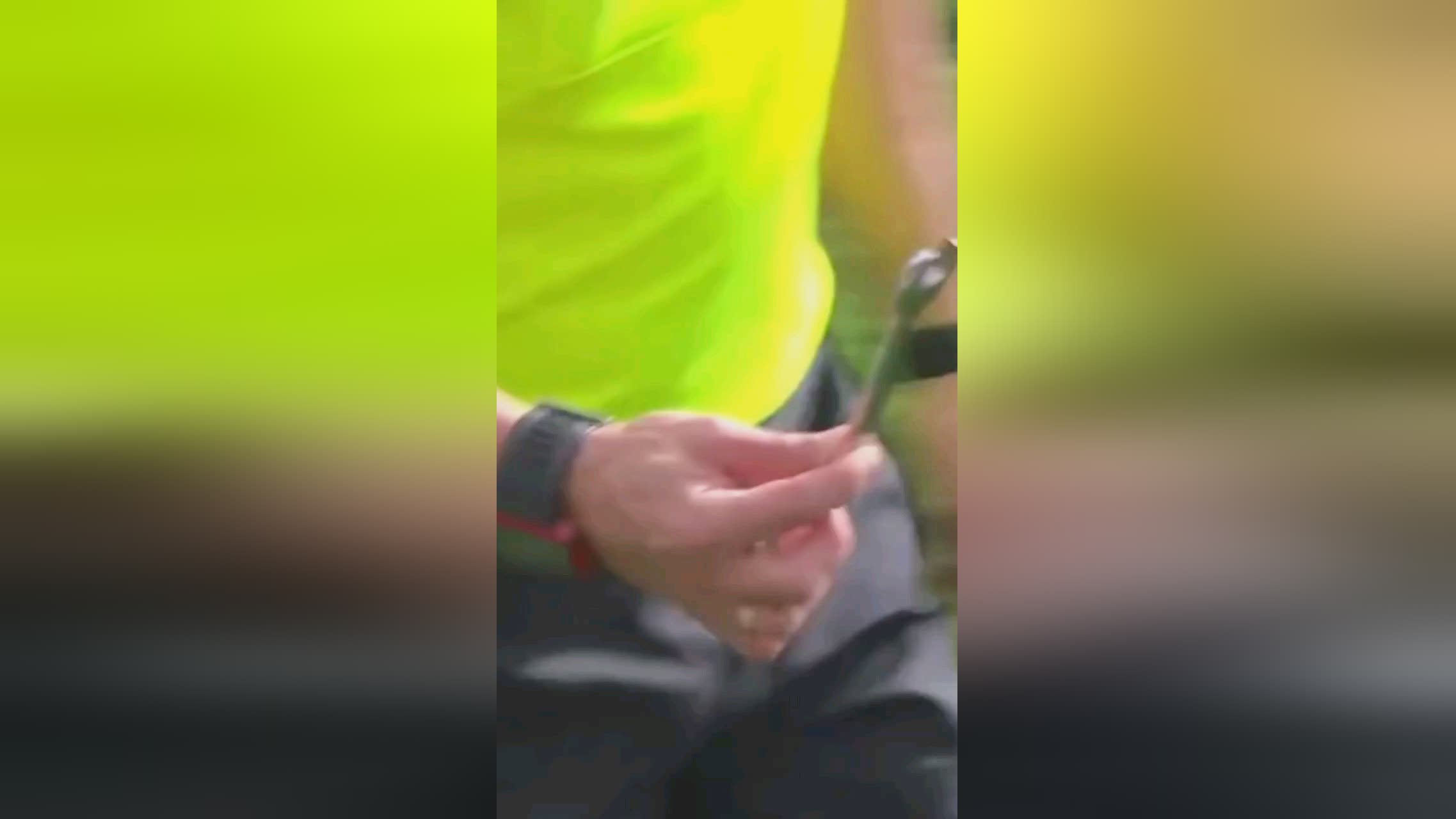 奠定了