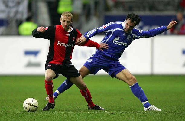 在过去几个 在过去几个